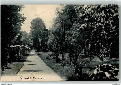 8265 Mammern 1916 - Kuranstalt - 10609671