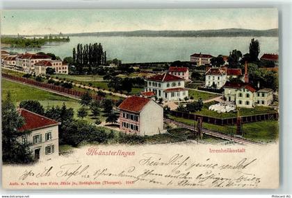 8596 Münsterlingen 1902 - Irrenheilanstalt See - 13249495