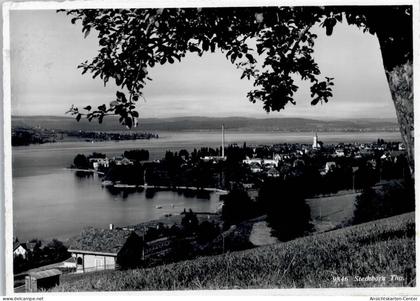 50773010 - Steckborn