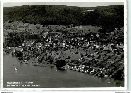 51713999 - Mammern