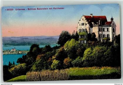 8268 Mannenbach-Salenstein - Schloss Salenstein - 10625539