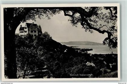 8268 Mannenbach-Salenstein - Schloss Salenstein - 10625540