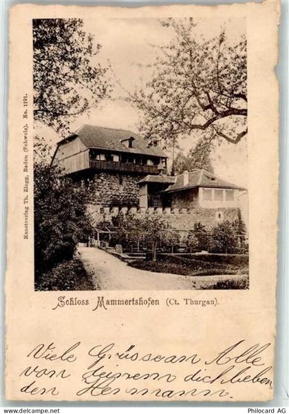 9325 Roggwil TG 1902 - Schloss Mammertshofen - 10609486