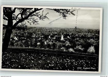 9325 Roggwil TG - Baum blühende Wiese - 12111165