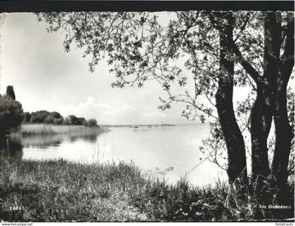 Arbon  TG Arbon [Stempelabschalag] x 1955