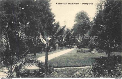 Mammern Untersee Steckborn TG Kuranstalt Mammern Parkpartie