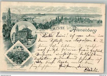 8268 Salenstein 1899 Lithographie Schloss Salenstein Arenenberg - 13556564