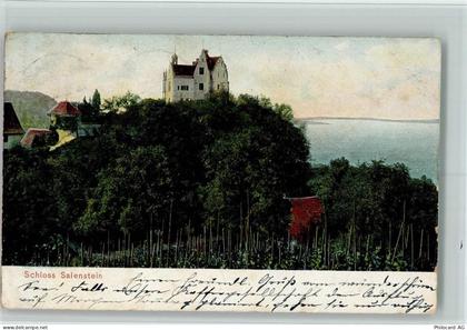 8268 Salenstein 1908 - Schloss Salenstein - 10257922