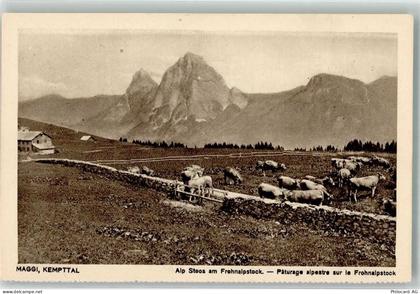 6673 Maggia - Alp Stoos Frohnalpstock Kempttal Kühe - 39691889