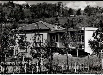 6933 Muzzano Agnuzzo - 50474623