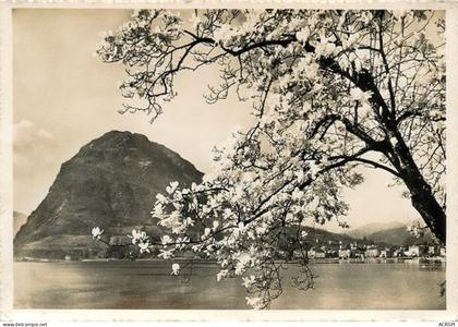 lac de Lugano Lago di Lugano ou Lago Ceresio TESSIN et LOMBARDIE suisse et Italia 41  (scan recto-verso)MA2271Ter