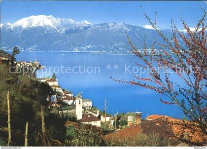 Vira Gambarogno Lago Maggiore