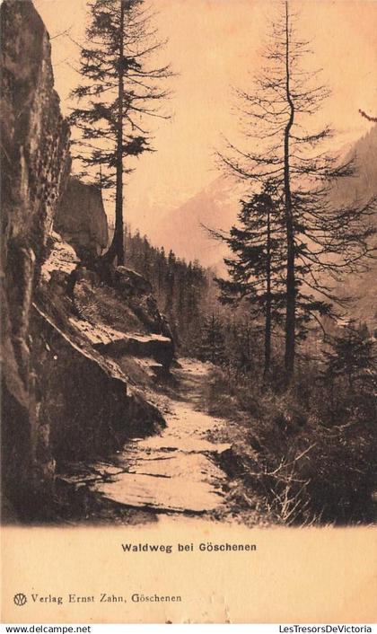 SUISSE - Göschenen - Forêt de Göschenen - Carte Postale ancienne