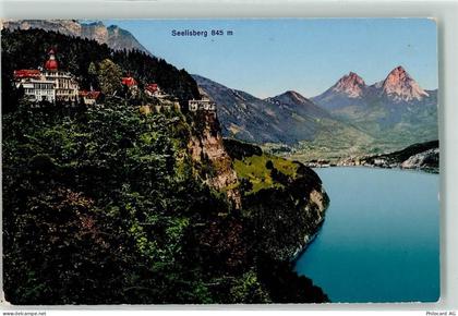 6377 Seelisberg - 10602451