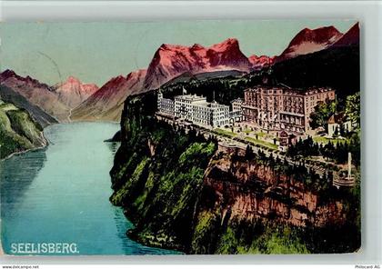 6377 Seelisberg - 11060336