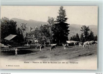 1446 Baulmes 1906 - Chalet - Pension du Mont de Baulmes, gute Erhaltung ... - 13077644