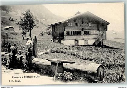 1660 Château-d'Oex - Paysage - 10607374