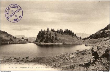 Chateau d Oex - Lac Lioson