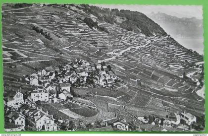 Bourg-en-Lavaux (VD) Epesses - et la Corniche: Vue Aérienne / Flugaufnahme