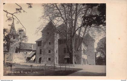 ¤¤   -  SUISSE   -  Carte-Photo du Chateau de GINGINS     -  ¤¤