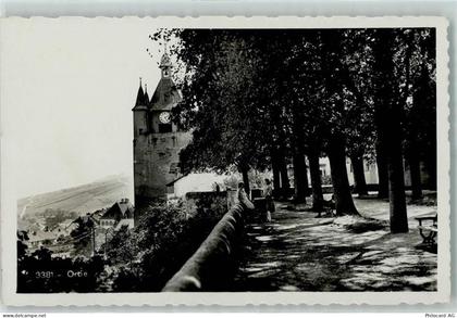 1350 Orbe - 10309146