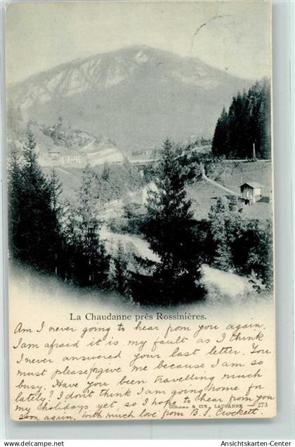 10216935 - Rossinière
