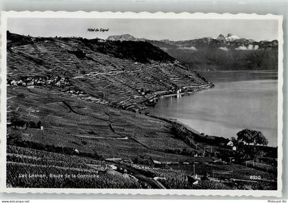 1091 Grandvaux Le Tronchet Foto AK Lac Léman Weinterrassen von Lavaux - 38219394