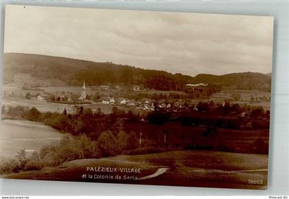 1607 Palézieux Foto AK - 38193946