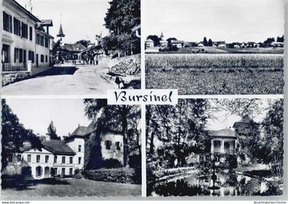 50567149 - Bursinel