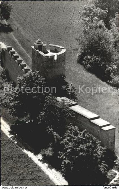 Avenches Ruines Romaines Avenches La Tornallaz