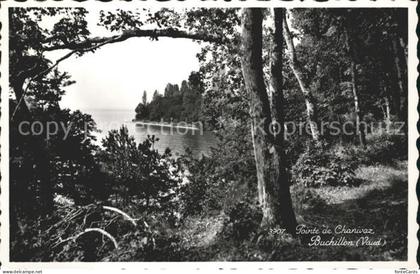 Buchillon Pointe de Chanivaz
