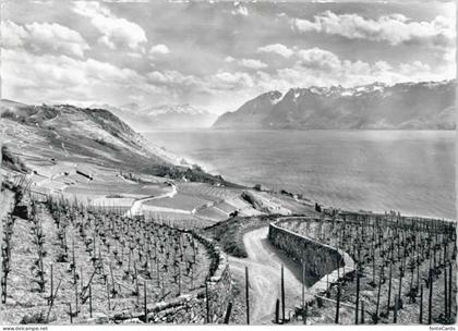 Cully VD Cully Lac Leman