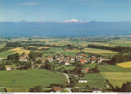 Gingins, Le Lac Léman et le Mont-Blanc gl1973 #E2457