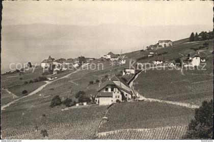 Grandvaux Lavaux Bossant Weinberge Genfersee