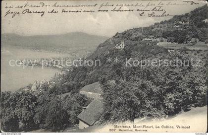 Montreux VD Mont Fleuri La Colline Valmont