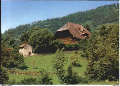 Rossiniere Chalet