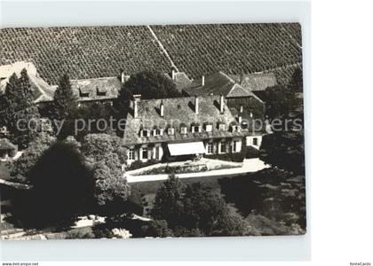 Vinzel Chateau La Batie vue aerienne