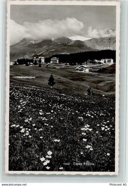 3963 Crans-sur-Sierre - blühende Wiese - 12114116