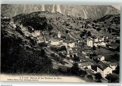 10611924 - Salvan