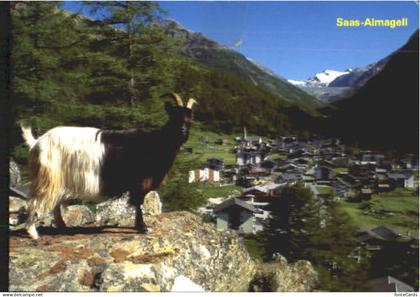 Saas Almagell  x 1997