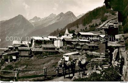 Wiler Loetschental VS mit Rothoerner