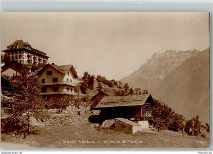 1922 Salvan Foto AK Le Bioley - 10587770