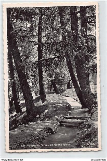 Suisse - Veysonnaz (VS) Les Mayens-de-Sion - Le Grand Bisse - Ed. Perrochet 4383