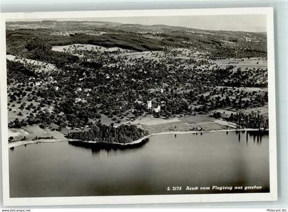 Aesch - Fliegeraufnahme - 13145540