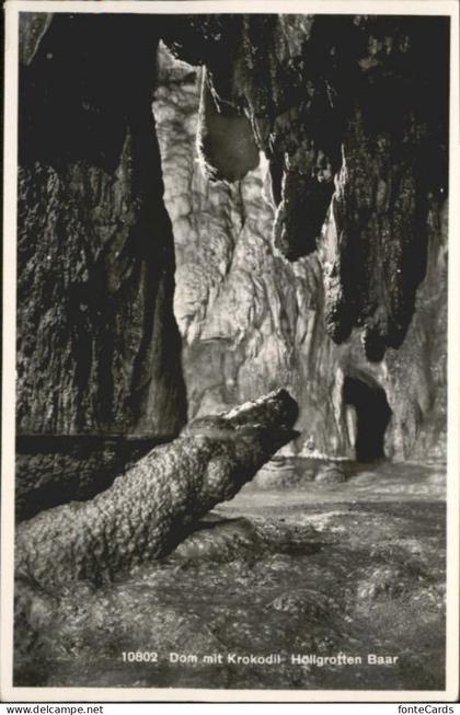 Baar ZG Baar Dom Krokodil Hoellgrotte