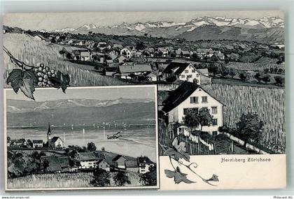 8704 Herrliberg Foto AK Zürichsee - 13673230