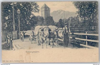 8802 Kilchberg ZH - Ochsengespann - 50894566