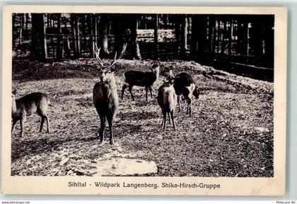 8135 Langnau am Albis - Sihltal Wildpark Langenberg Shika Hirsch Gruppe... - 10591107