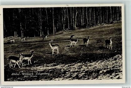8135 Langnau am Albis - Wildpark Langenberg Damhirsche - 10392248