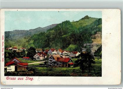 13218327 - Steg im Toesstal